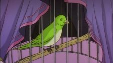 Магазинчик Ужасов, Pet Shop of Horrors