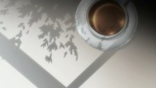 Белый альбом, White Album