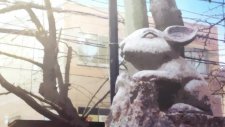 Мусасино!, Musashino!