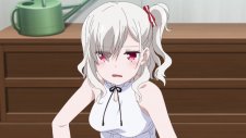 Полководцы Сигрдрифа, Senyoku no Sigrdrifa