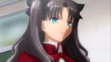 Судьба/Ночь схватки, Fate - Stay Night
