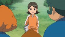Одиннадцать молний, Inazuma Eleven