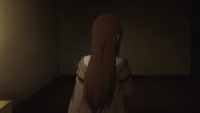 Врата Штейна, Steins;Gate