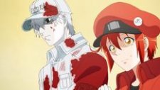 Клетки за работой: Тёмная сторона, Hataraku Saibou Black (TV)