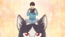 Домашний питомец, иногда сидящий на моей голове, Doukyonin wa Hiza, Tokidoki, Atama no Ue