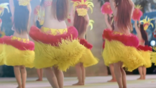 Танец хула-хула, Hula Fulla Dance