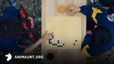 Дух игры, The Soul of Chess