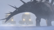 Мир Юрского периода: Лагерь Мелового периода 5 сезон, Jurassic World: Camp Cretaceous 5