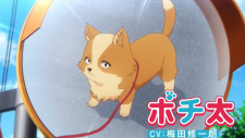 Стать любимой собачкой, Inu ni Nattara Suki na Hito ni Hirowareta