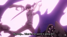 Ненасытный Берсерк, Boushoku no Berserk