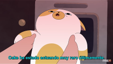 Adventure Time: Fionna & Cake, Adventure Time: Fionna & Cake